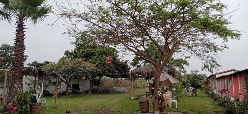 La Vina De Oscar Casa de hóspedes Nuevo Imperial Exterior foto